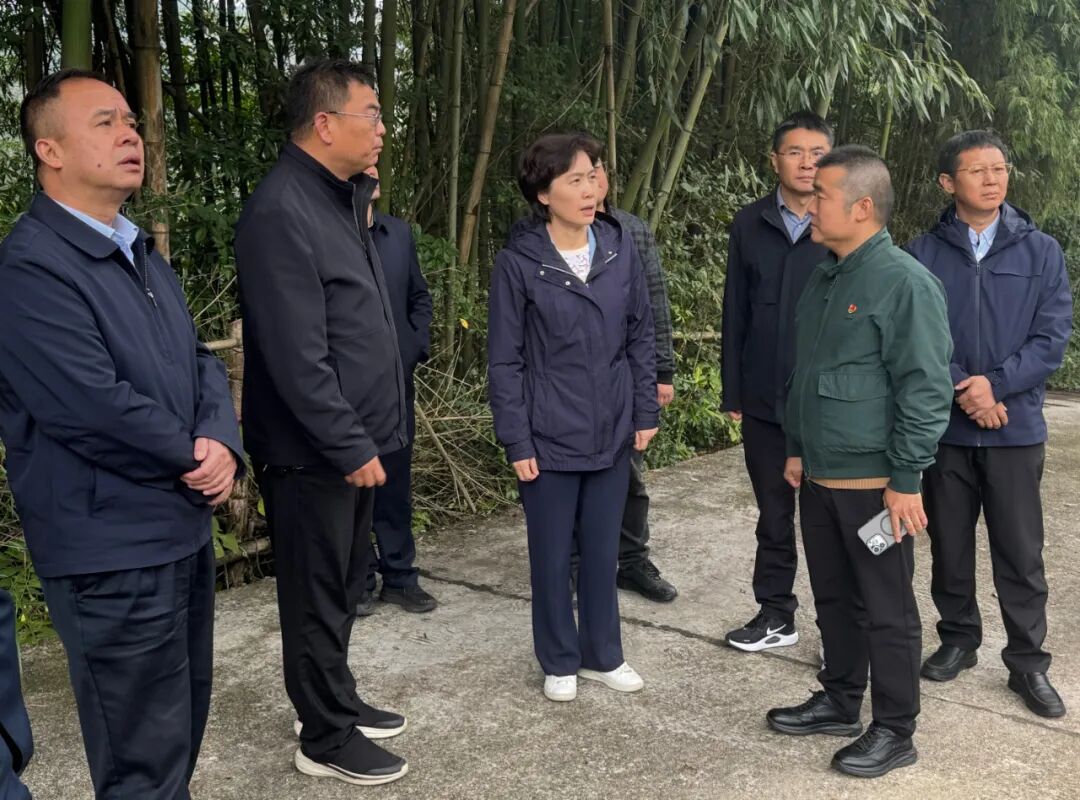 李?lèi)?ài)武一行調(diào)研靈溪鎮(zhèn)文旅高質(zhì)量發(fā)展與鄉(xiāng)村振興工作