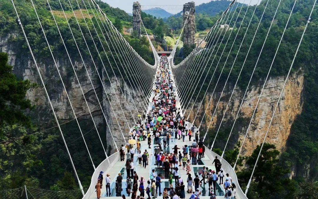 毛偉明主持召開省政府常務會議 落實中央政策部署 研究首屆旅發大會、“三區三線”劃定等工作